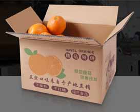 纸箱外包装时，如何保证食品的新鲜度？